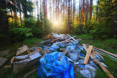 Orman çöplüğü ekoloji konsepti, kirlilik doğa koruma ormanı çöplerden