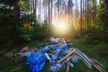 Orman çöplüğü ekoloji konsepti, kirlilik doğa koruma ormanı çöplerden