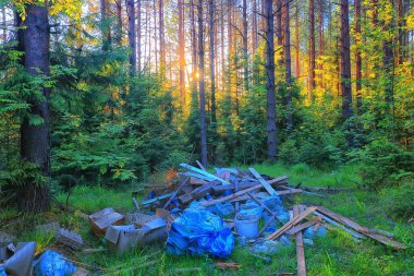 Orman çöplüğü ekoloji konsepti, kirlilik doğa koruma ormanı çöplerden
