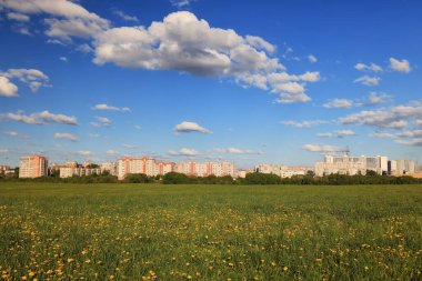 Şehrin sınırında yaz manzarası. Evlerin arka planında sarı çiçekli karahindibalar var.