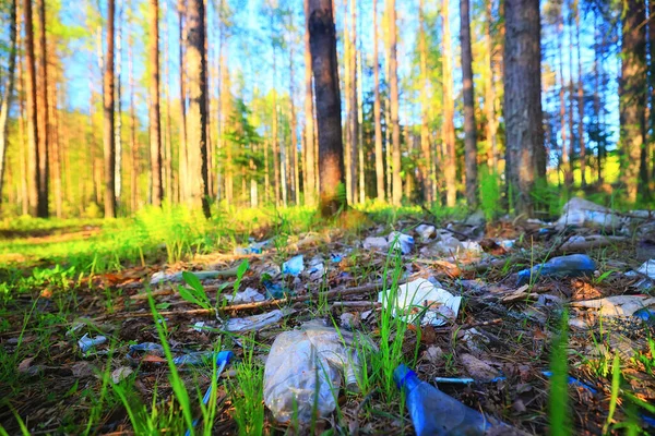 Orman Çöplüğü Ekoloji Konsepti Kirlilik Doğa Koruma Ormanı Çöplerden — Stok fotoğraf