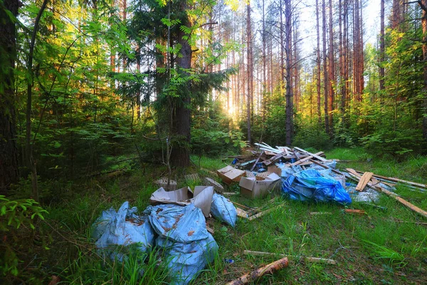 Orman çöplüğü ekoloji konsepti, kirlilik doğa koruma ormanı çöplerden