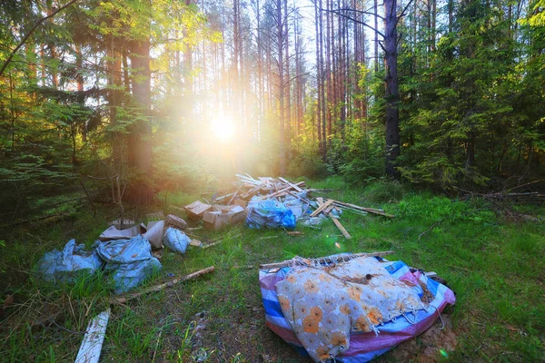 Orman çöplüğü ekoloji konsepti, kirlilik doğa koruma ormanı çöplerden