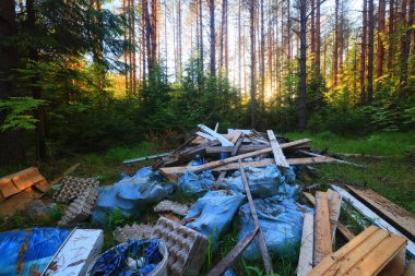 Orman çöplüğü ekoloji konsepti, kirlilik doğa koruma ormanı çöplerden