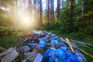 Orman çöplüğü ekoloji konsepti, kirlilik doğa koruma ormanı çöplerden