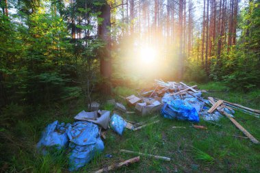 Orman çöplüğü ekoloji konsepti, kirlilik doğa koruma ormanı çöplerden