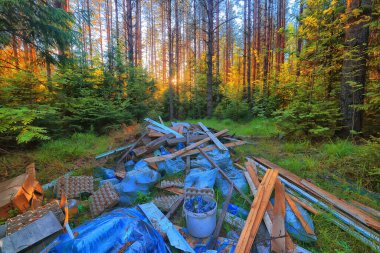 Orman çöplüğü ekoloji konsepti, kirlilik doğa koruma ormanı çöplerden