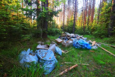 Orman çöplüğü ekoloji konsepti, kirlilik doğa koruma ormanı çöplerden