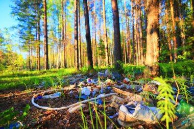 Orman çöplüğü ekoloji konsepti, kirlilik doğa koruma ormanı çöplerden