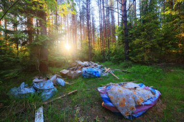 Orman çöplüğü ekoloji konsepti, kirlilik doğa koruma ormanı çöplerden