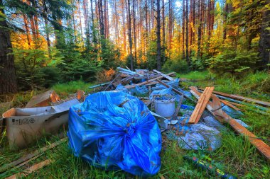 Orman çöplüğü ekoloji konsepti, kirlilik doğa koruma ormanı çöplerden
