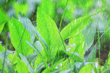 Bahar yağmuru çiçekleri arka planda çiçek açar doğa taze yeşil su damlaları