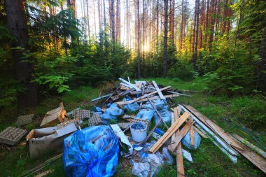 Orman çöplüğü ekoloji konsepti, kirlilik doğa koruma ormanı çöplerden