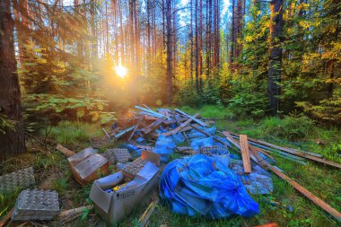 Orman çöplüğü ekoloji konsepti, kirlilik doğa koruma ormanı çöplerden