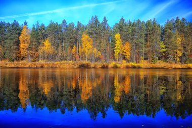 manzara, sonbahar manzarası ağaçları ve orman nehri ve göl, doğa manzarası arka plan