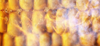 Sıcak haşlanmış mısır koçanı taze sebze diyeti geçmişi