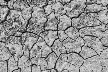 Doku çöl kuraklığı soyut arka plan Dünya ısınmayı küresel hale getirdi