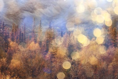 Soyut manzara arka plan. Sonbahar güneşi parıldıyor. Güneş ışığını görüyor.