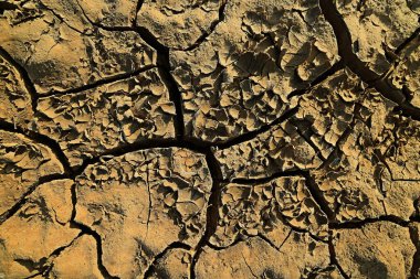 Tarladaki kuraklık. Tarım sorunu. Isı toprağı çatlattı.