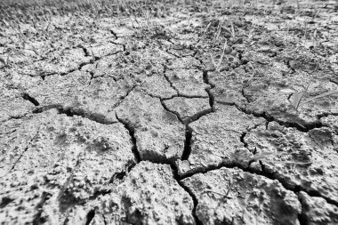 Doku çöl kuraklığı soyut arka plan Dünya ısınmayı küresel hale getirdi