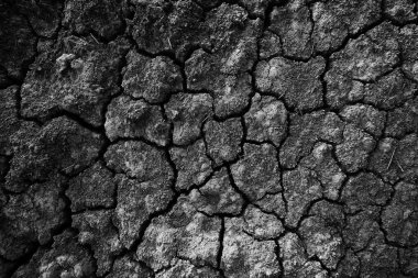 Doku çöl kuraklığı soyut arka plan Dünya ısınmayı küresel hale getirdi