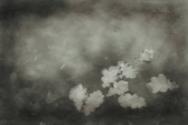 Soyut sonbahar sonbahar arka planı sarı doğayı, Ekim ayı duvar kağıtlarını mevsimlik bırakıyor