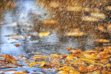 soyut sonbahar arkaplan yağmuru duvar kağıdı parkını terk ediyor