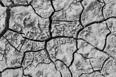 Tarladaki kuraklık. Tarım sorunu. Isı toprağı çatlattı.