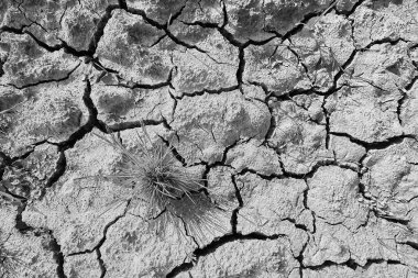 Doku çöl kuraklığı soyut arka plan Dünya ısınmayı küresel hale getirdi