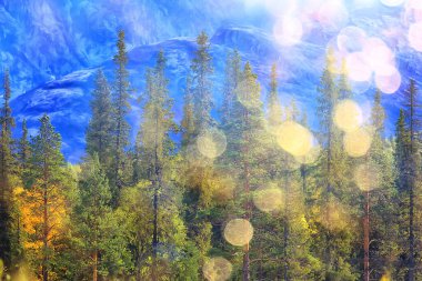 Dağlardaki orman güzel yeşil doğa yaz ormanı