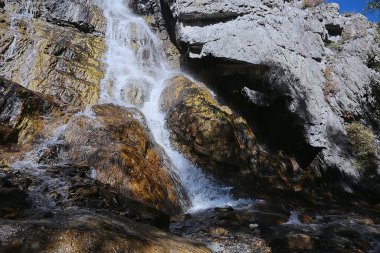 Şelale manzarası. Doğa, su dağları. Altai nehri.