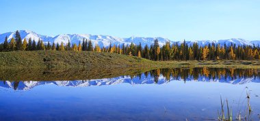 Sonbahar ormanı dağları manzara ağaçları, doğa sarı mevsim