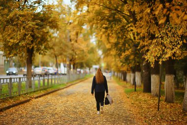 Sonbahar parkı manzarasında bir ara sokak, Sonbahar sarı yolları, Ekim ayında şehirde mevsimlik manzaralar.