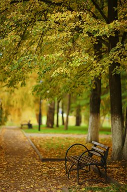 Sonbahar parkı manzarasında bir ara sokak, Sonbahar sarı yolları, Ekim ayında şehirde mevsimlik manzaralar.