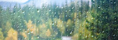 Soyut arka plan düşüşü, cam düşüşü sonbahar sarı yapraklar ıslak Ekim havası