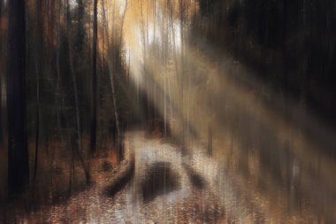 Arka planda bulanık sonbahar manzarası, soyut bulanık bokeh sonbahar ağaçları manzarası