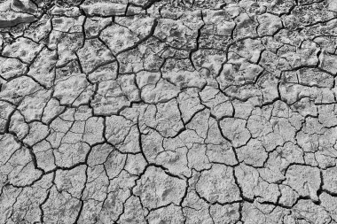 Doku çöl kuraklığı soyut arka plan Dünya ısınmayı küresel hale getirdi