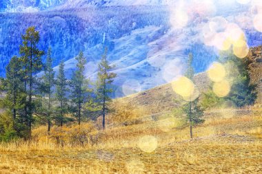 Soyut manzara arka plan. Sonbahar güneşi parıldıyor. Güneş ışığını görüyor.