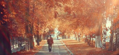 Sonbahar parkındaki güneşli manzara, sonbahar sezonu arka planındaki portakal parkı