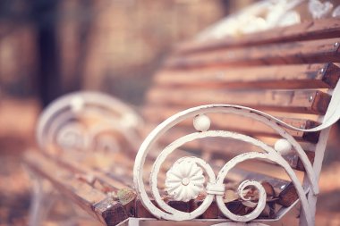 soyut bulanık sonbahar arka plan parkı, şehir sonbahar doğası ekim