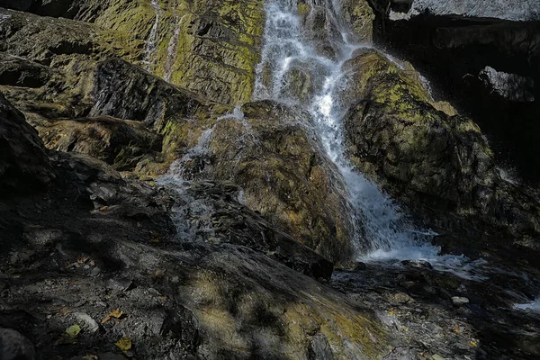 Şelale Manzarası Doğa Dağları Altai Nehri — Stok fotoğraf