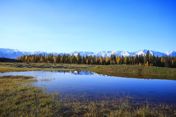 Altai Montaña Paisaje Panorama Otoño Paisaje Fondo Caída Naturaleza Vista — Foto de Stock