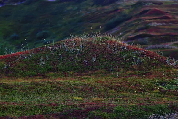 Schiereiland Midden Visserslandschap Kola Bergen Heuvels Uitzicht Stenen — Stockfoto