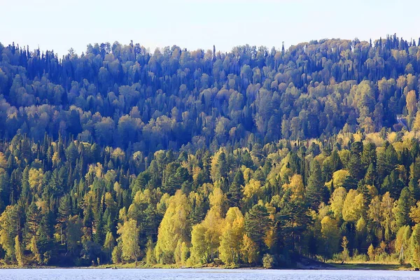 Herfst Bos Landschap Abstracte Achtergrond Oktober Uitzicht Gele Bomen Herfst — Stockfoto