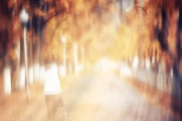 Размытый Фон Осенний Природный Ландшафт Абстрактное Размытие Боке Вид Осенних — стоковое фото