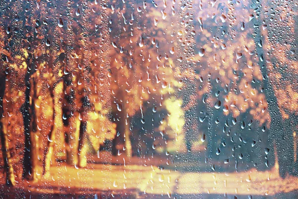 Rain Background Autumn Landscape Park Abstract Seasonal Nobody Weather October — Stock Photo, Image