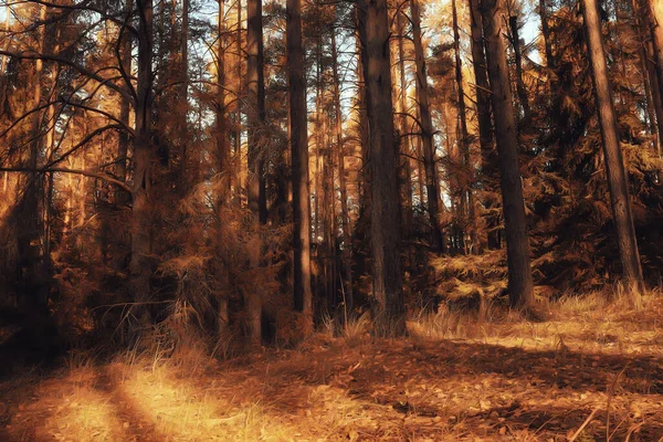 Astratto Sfondo Texture Autunno Foresta Giallo Alberi Modello Paesaggio Vista — Foto Stock