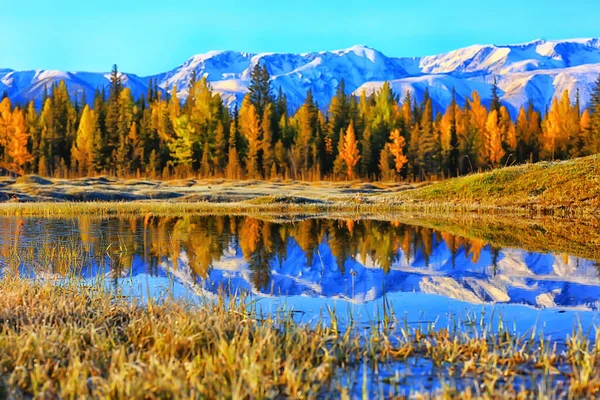 Altai Dağ Manzarası Panorama Sonbahar Manzarası Arka Plan Sonbahar Doğa — Stok fotoğraf