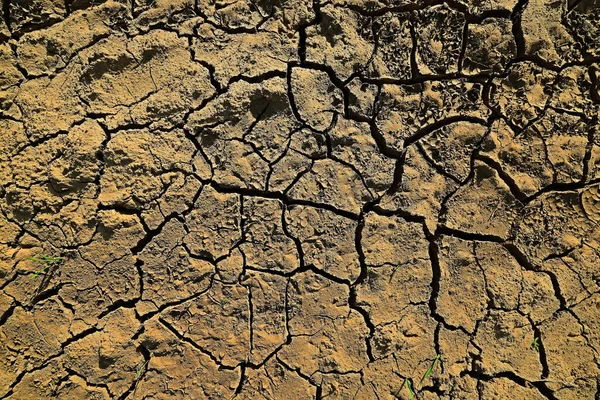 Texture Desert Drought Background Abstract Earth Cracked Warming Global — Stock Photo, Image