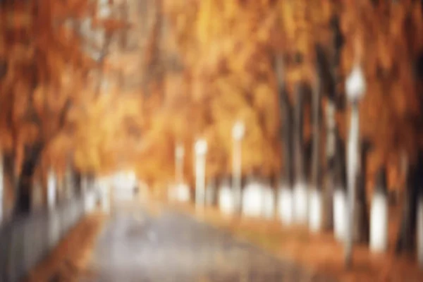 Niewyraźne Tło Jesień Natura Krajobraz Abstrakcyjne Rozmycie Bokeh Widok Upadku — Zdjęcie stockowe